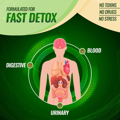Best Liver Detox and Cleanse Supplement: What to Know Before You Buy