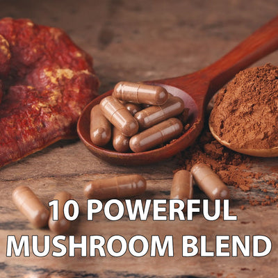 Mushroom Complex vs. Single Mushroom Supplements: Which Is Better?